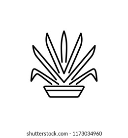 Black & white vector illustration of ornamental herb in pot. Decorative home plant in container. Line icon of indoor green foliage plant. Isolated object on white background.