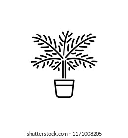 Black & white vector illustration of palm tree with leaves in pot. Line icon of tropic exotic home plant in container. Evergreen potted houseplant. Isolated object on white background.