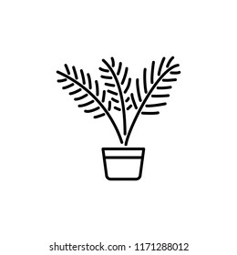 Black & white vector illustration of palm tree with leaves in pot. Line icon of tropic exotic home plant in container. Evergreen potted houseplant. Isolated object on white background.