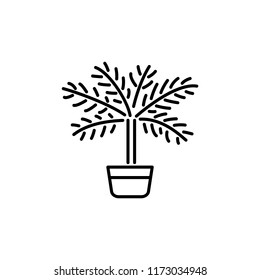 Black & white vector illustration of palm tree with leaves in pot. Line icon of tropic exotic home plant in container. Evergreen potted houseplant. Isolated object on white background.