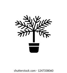 Black & white vector illustration of palm tree with leaves in pot. Flat icon of tropic exotic home plant in container. Evergreen potted houseplant. Isolated object on white background