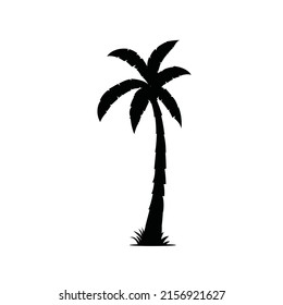 ilustración vectorial en blanco y negro de una palmera
