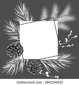 Black and white vector illustration with pine and spruce branches, pine cone with space for text.