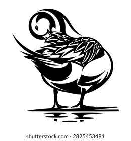Black and white vector illustration of a pintail duck preening its feathers