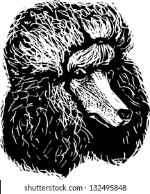 Black and white vector illustration of poodle dog