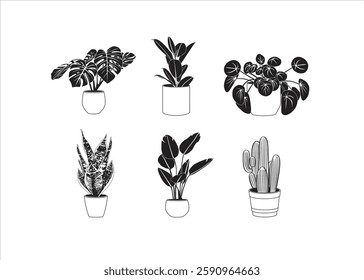 Black and white vector illustration, potted plant for interior design