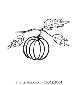 Black and white vector illustration of a pumpkin