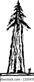 Black And White Vector Illustration Of Redwood Tree