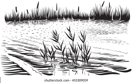 Black   white vector illustration river landscape  Bank the river and reed   cattail  Sketchy style 