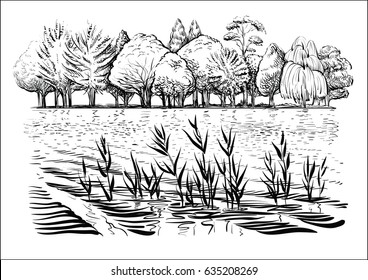 Black and white vector illustration of river landscape with trees, water waves and reflection. Bank of the river with reed and cattail. Sketchy style.