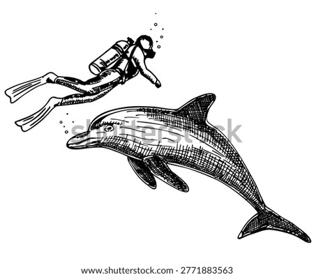 Black and white vector illustration of scuba diver swimming alongside dolphin underwater. Engraving style drawing with detailed lines, marine life concept, exploration and ocean adventure theme. Hand-drawn illustration