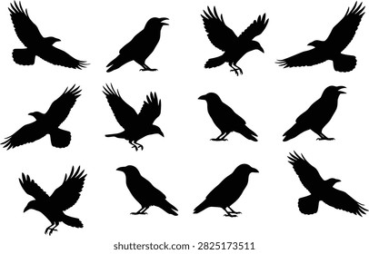 Black and white vector illustration set featuring various poses of ravens and crows flying, standing, and cawing.