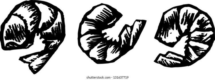 Black and white vector illustration of shrimp