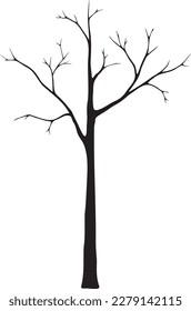 Black and white, vector illustration. Silhouette of a tall, empty, dry, isolated, old tree. Drawn by hand. Black outline of a tree without leaves. For design and decoration.
