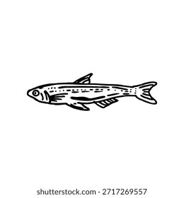 Ilustración vectorial en blanco y negro de un solo pez. Estilo minimalista del arte de la línea, perfecto para los iconos, los logotipos, los materiales educativos, o los proyectos del diseño. Vector editable con fondo aislado, conveniente para el Uso comercial.