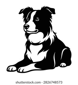 Black and white vector illustration of a sitting border collie dog with domestic illustration silhouette