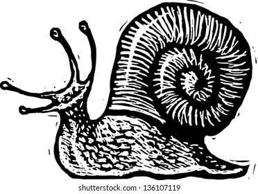 Black and white vector illustration of a snail