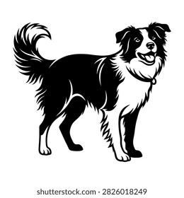 Black and white vector illustration of a standing Border Collie dog silhouette.