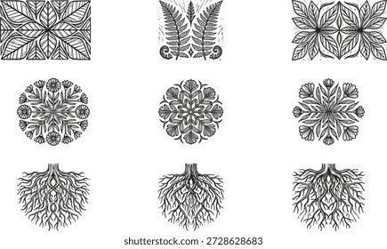 Ilustração vetorial em preto e branco de uma grade botânica estilizada mostrando os arranjos das folhas, a simetria floral e as estruturas das raízes