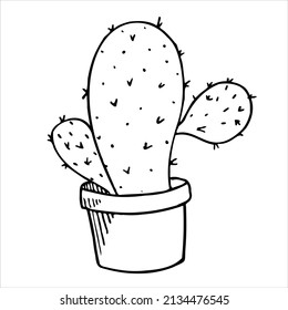 Black and white vector illustration with succulents in sketch style. For any your designs and decors. Suitable for making patterns, postcards, labels, packaging, covers and more.