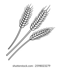 Black and white vector illustration of three wheat stalks. The vintage engraving-style sketch is perfect for bakery branding, brewery packaging, organic product labels, and agricultural designs.