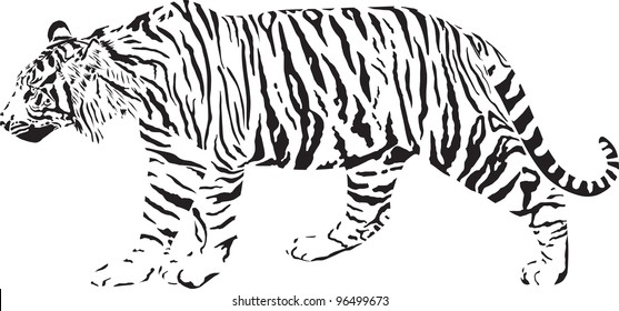 Black And White Vector Illustration Tiger