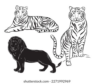 Black and white vector illustration with tigers and lion in different poses, vector set of wild cats, monochrome linear drawings isolated on white background