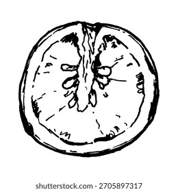 Ilustración vectorial en blanco y negro de una rodaja de tomate con semillas y cámaras interiores. El arte lineal limpio lo hace adecuado para Conjuntos de ingredientes, gráficos de ensaladas, diseños de recetas y varias aplicaciones de pizza