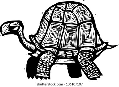 Black White Vector Illustration Tortoise Stock Vector (Royalty Free ...