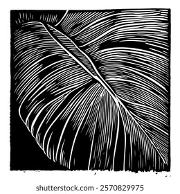 black and white vector illustration of a tropical leaf with detailed texture and natural pattern, perfect for nature-inspired, botanical, and artistic-themed designs