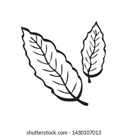 Black and white vector illustration of two leaves on white background