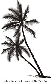 53,109 Tall palm trees Images, Stock Photos & Vectors | Shutterstock