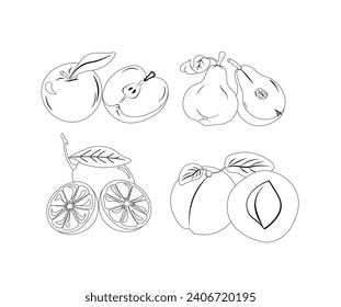 Black and white vector illustration of a variety of fruits on a white background