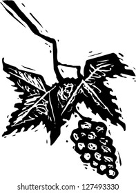 Black and white vector illustration of vine and grapes