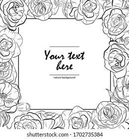 Black and white vector illustration. Vintage frame with flowers. Floral hand drawn card. Line-art roses. 