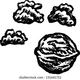Black and white vector illustration of walnut