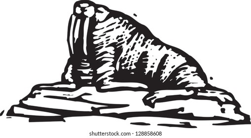 Black and white vector illustration of a walrus