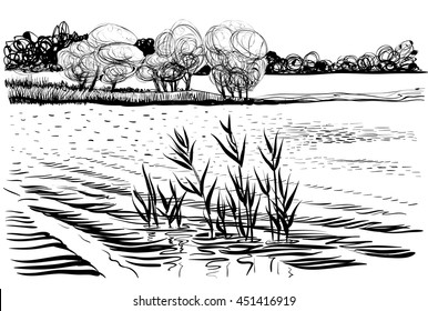 Black   white vector illustration  water landscape  The bank the river and reeds   trees  Sketchy style  graphic art 