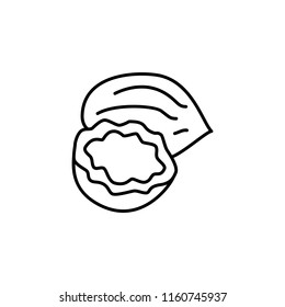 Black & white vector illustration of whole & cut coconuts. Line icon of fresh coco nuts. Vegan & vegetarian food. Health eating ingredient. Isolated object on white background. 