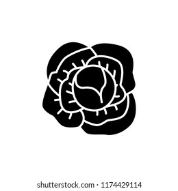 Black & white vector illustration of whole cabbage vegetable. Flat icon of fresh organic headed cabbage. Vegan & vegetarian food. Health eating ingredient. Isolated object on white background. 