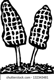 Black and white vector illustration of wild mushrooms