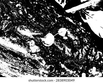 Black and white vector illustration of wild mushrooms growing on decayed, crusted tree bark.