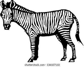 Black and white vector illustration of a zebra