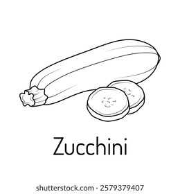 Black and white vector illustration of zucchini with slices. Simple line art design, ideal for food-related projects, recipes, botanical designs, coloring books, and educational materials.