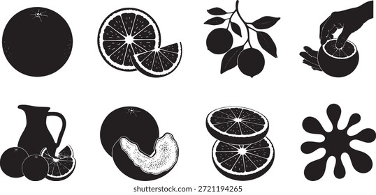 Ilustraciones vectoriales blancas y negras de naranjas, limones y jugo salpican cítricos
