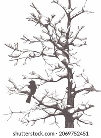 Schwarz-Weiß-Vektorbild eines Vogels, der auf einem Ast eines schneebedeckten Baumes sitzt