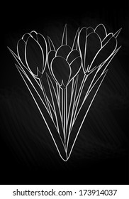 Black and white vector image of crocus  