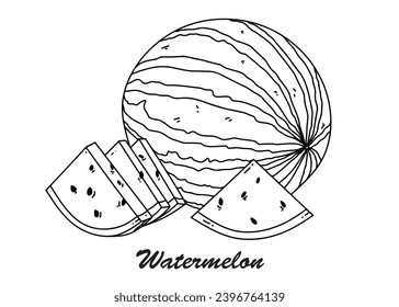 Black and white vector line art sketch of watermelon. Line art vector design with whole watermelon and triangular cut watermelon on the side. Fruit picture book, drawing book, design ornament.