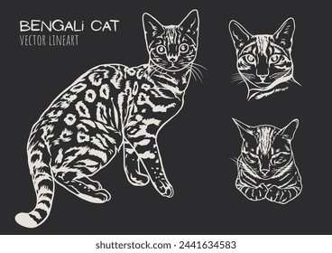 Black and white vector line art featuring three poses of a Bengali cat.