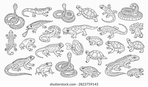 Black and white vector line art illustration collection of reptiles and amphibians featuring various frogs, coiled snakes, turtles, iguanas, and lizards on a white background.